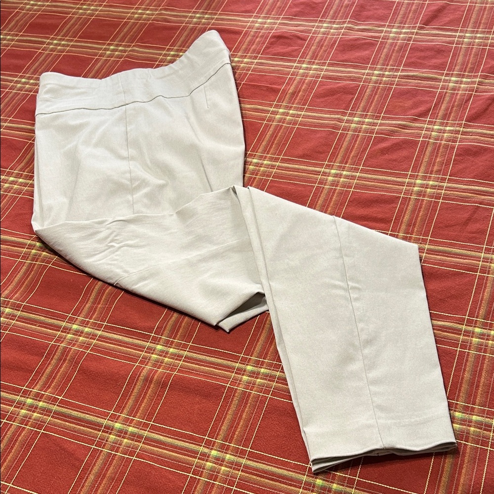Style & Co Women’s Tan Tummy Slimming Medium Pull Up Pants NWOT